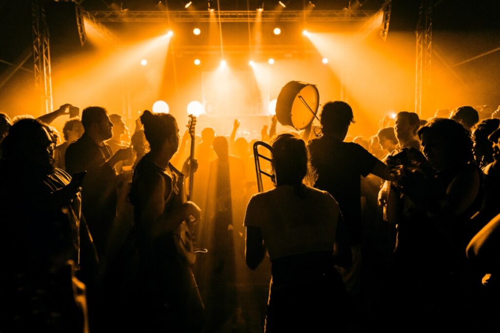 Silhouettes in crowd holding musical instruments
